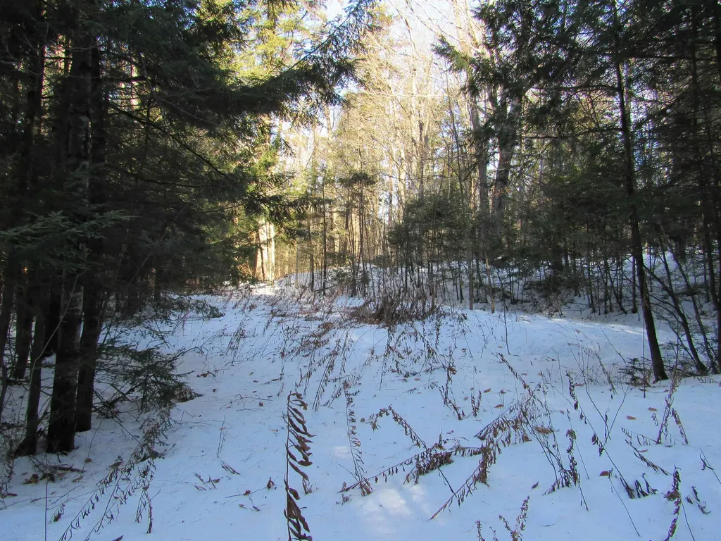 0 Lower Taylor Hill Road Winhall VT 05340