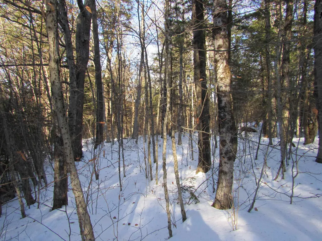 0 Lower Taylor Hill Road Winhall VT 05340