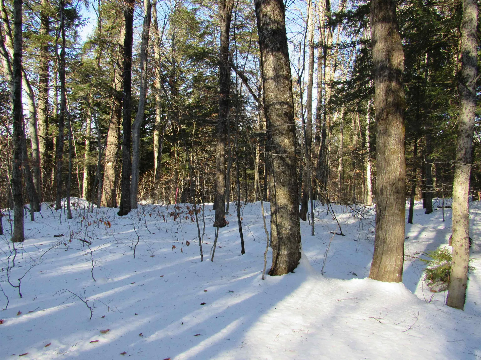 0 Lower Taylor Hill Road Winhall VT 05340