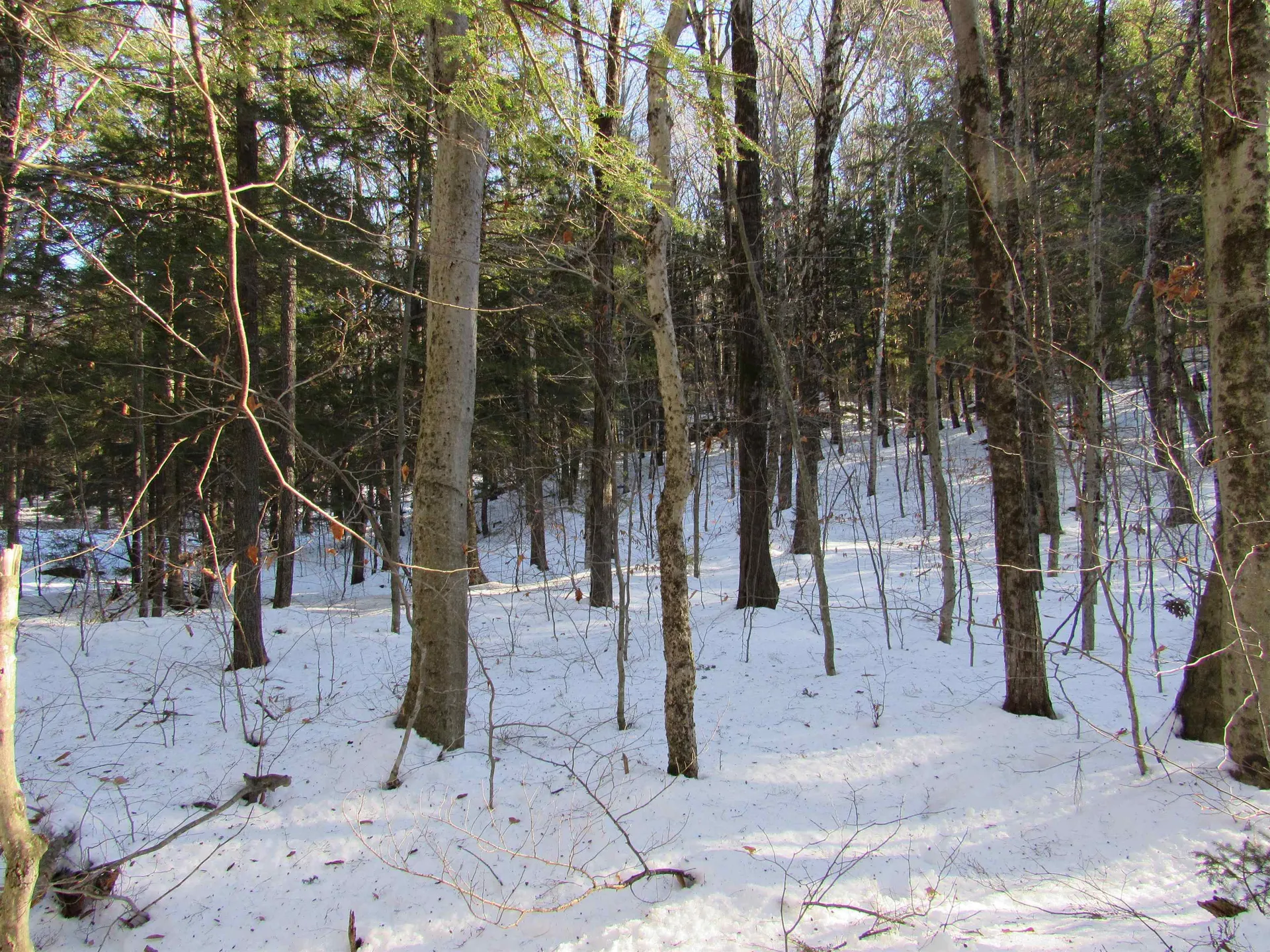 0 Lower Taylor Hill Road Winhall VT 05340