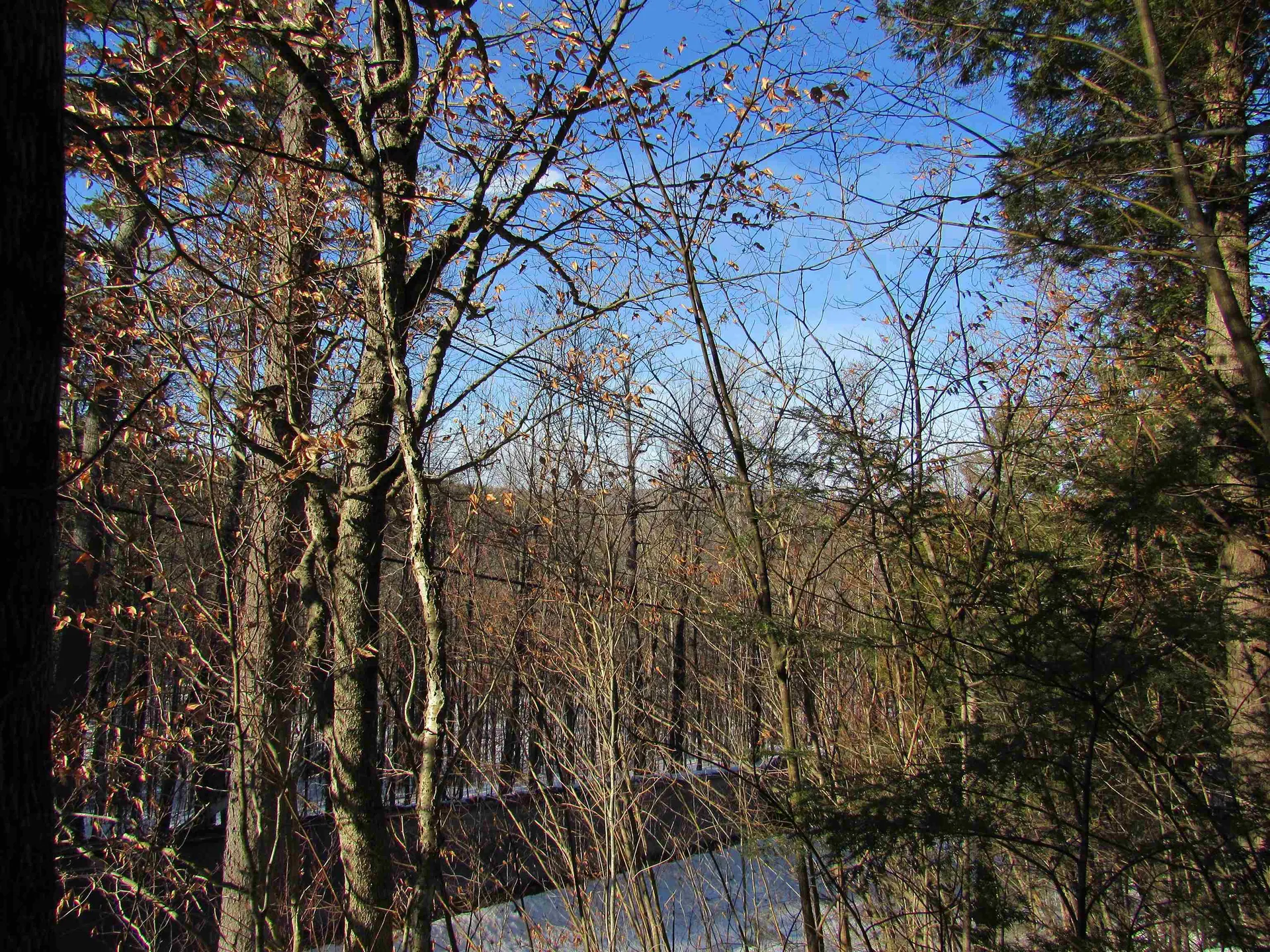 0 Lower Taylor Hill Road Winhall VT 05340