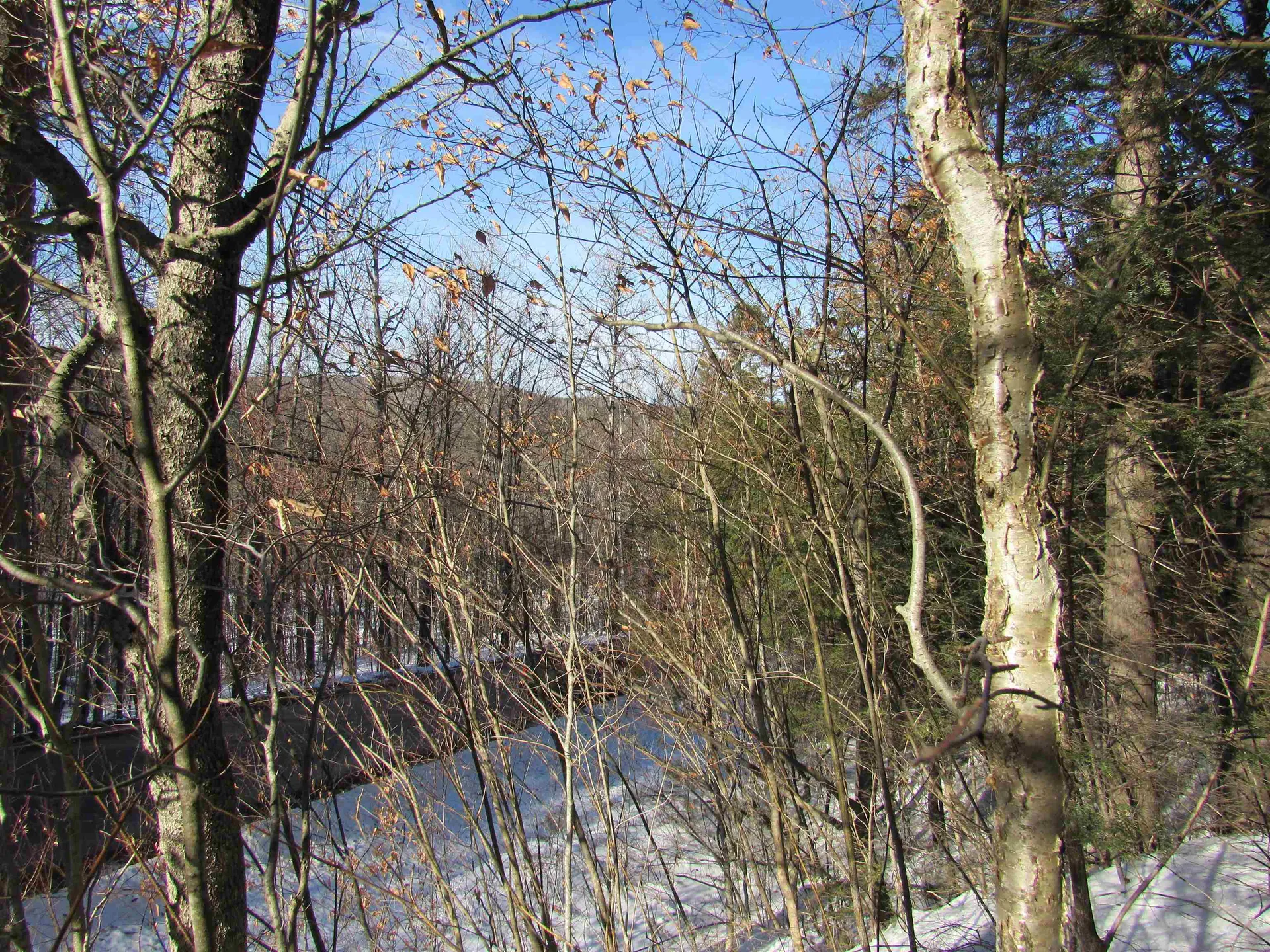 0 Lower Taylor Hill Road Winhall VT 05340