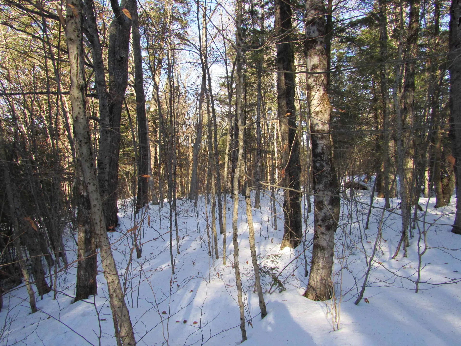 0 Lower Taylor Hill Road Winhall VT 05340