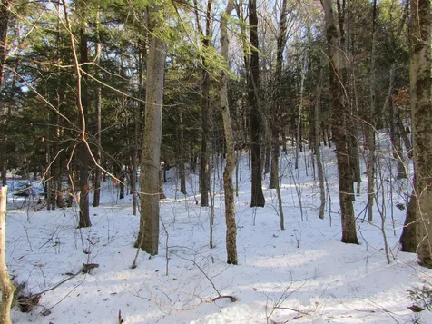 0 Lower Taylor Hill Road Winhall VT 05340