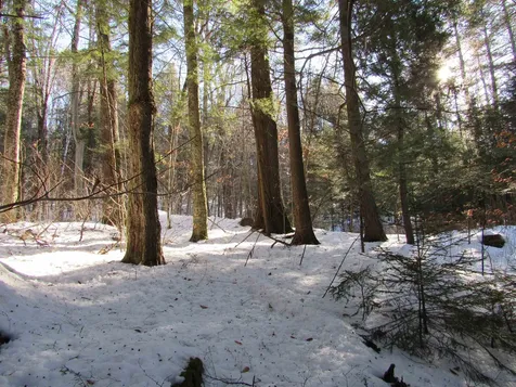 0 Lower Taylor Hill Road Winhall VT 05340