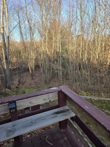 14 Anthony Circle Swanzey NH 03446