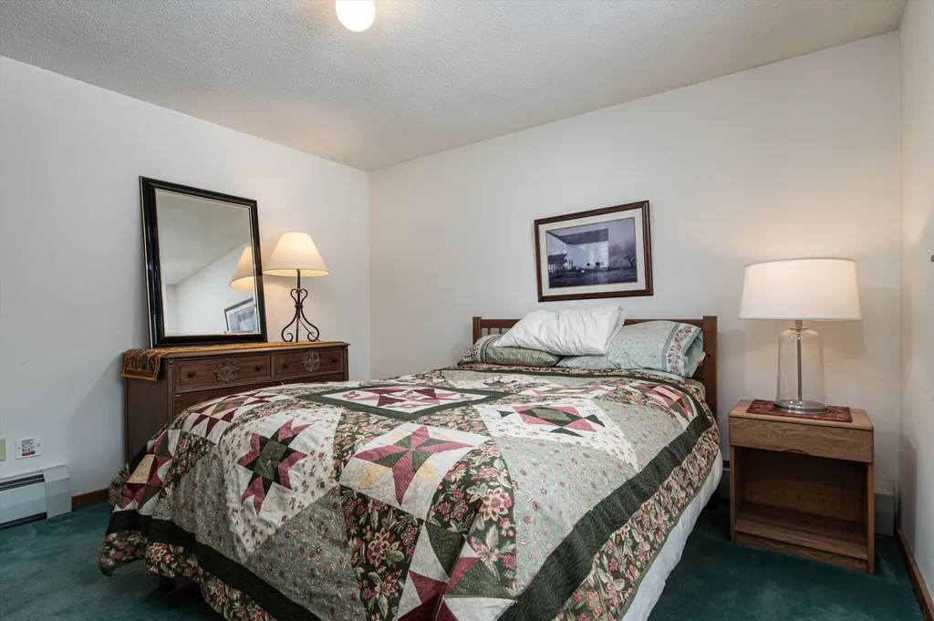 101 Okemo Trailside Extension Ludlow VT 05149