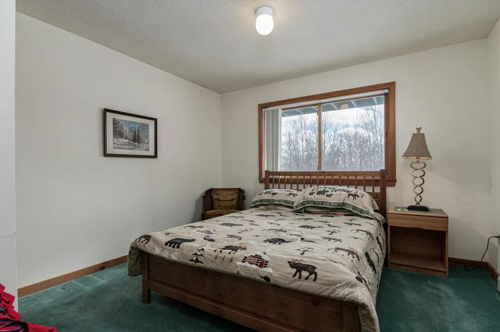 101 Okemo Trailside Extension Ludlow VT 05149