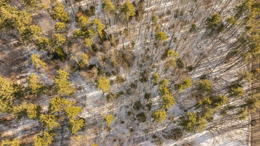 Lot 56-4 Lovers Lane Auburn NH 03032