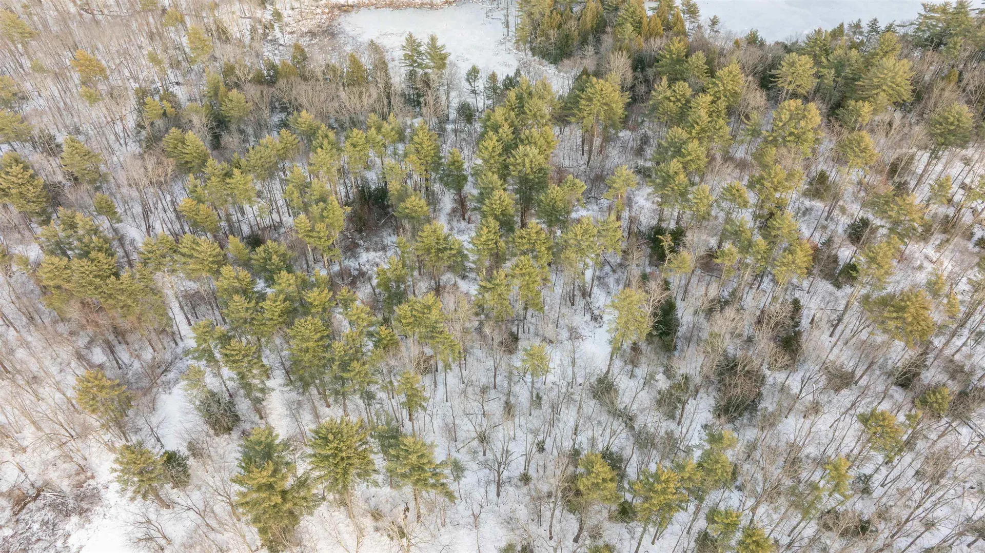 Lot 56-4 Lovers Lane Auburn NH 03032