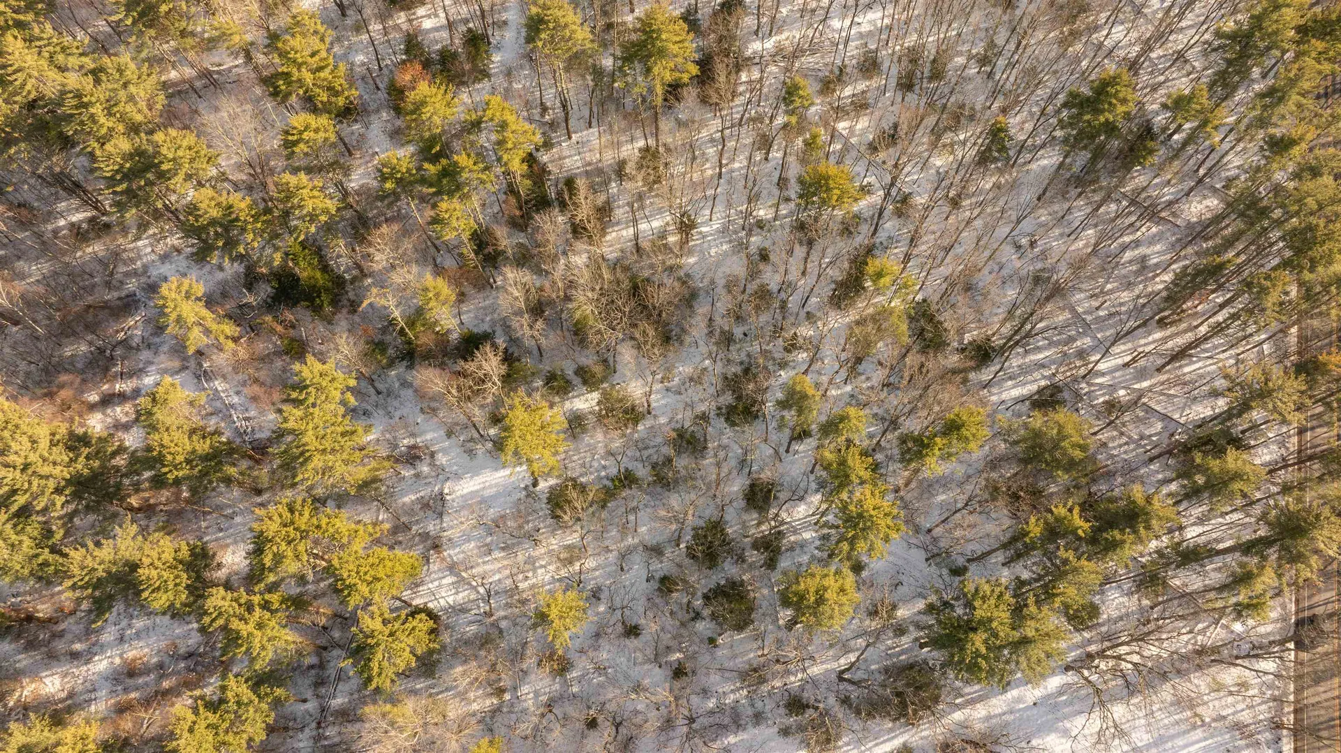 Lot 56-4 Lovers Lane Auburn NH 03032