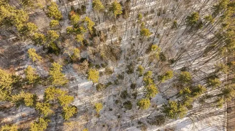 Lot 56-4 Lovers Lane Auburn NH 03032