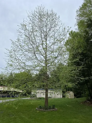 85 Breezy Acres Drive Vernon VT 05354