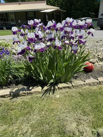 85 Breezy Acres Drive Vernon VT 05354