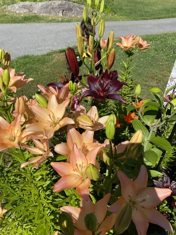 85 Breezy Acres Drive Vernon VT 05354