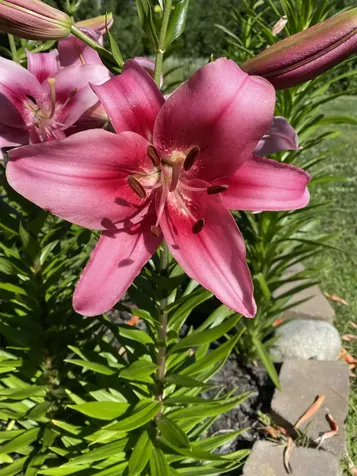 85 Breezy Acres Drive Vernon VT 05354