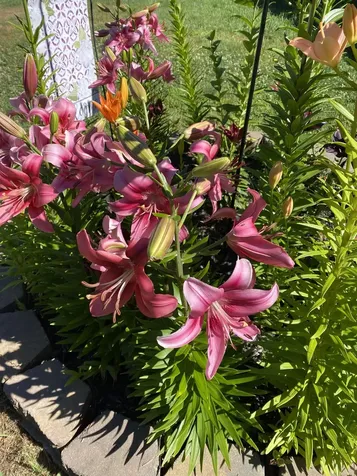 85 Breezy Acres Drive Vernon VT 05354