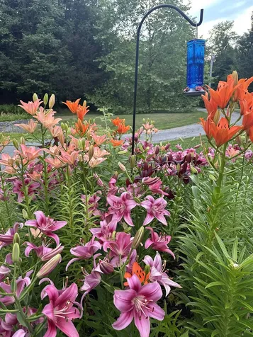 85 Breezy Acres Drive Vernon VT 05354