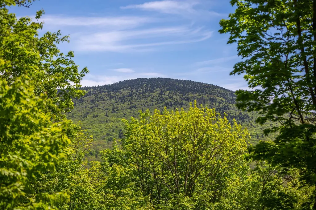 281 Yale Road Mount Holly VT 05730