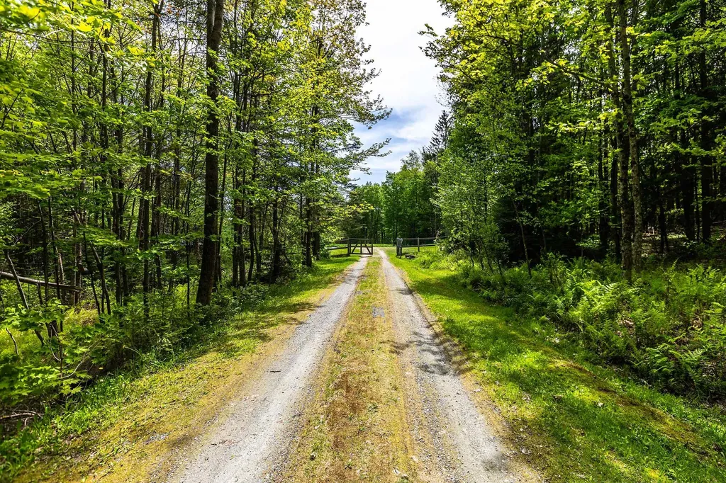 281 Yale Road Mount Holly VT 05730