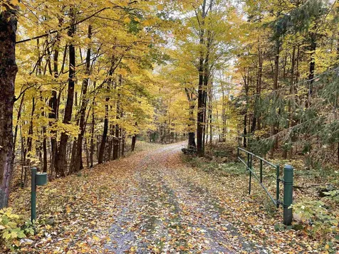 281 Yale Road Mount Holly VT 05730