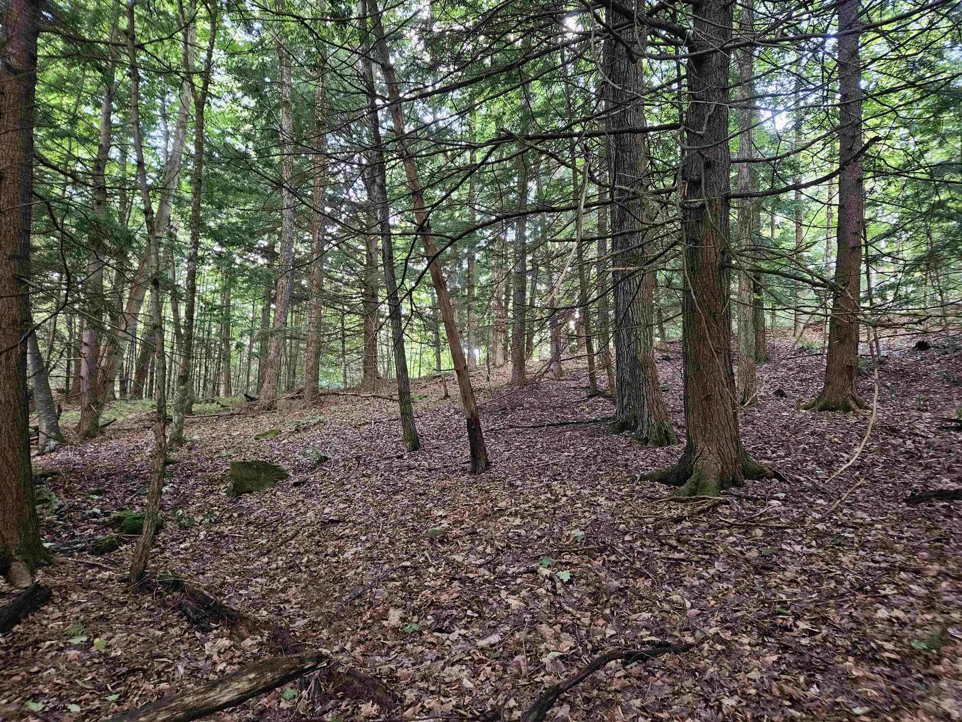 00 Hewitt Road Claremont NH 03743