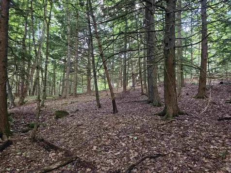 00 Hewitt Road Claremont NH 03743