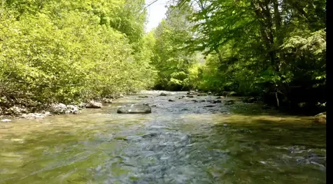 29 Stevensville Road Underhill VT 05489