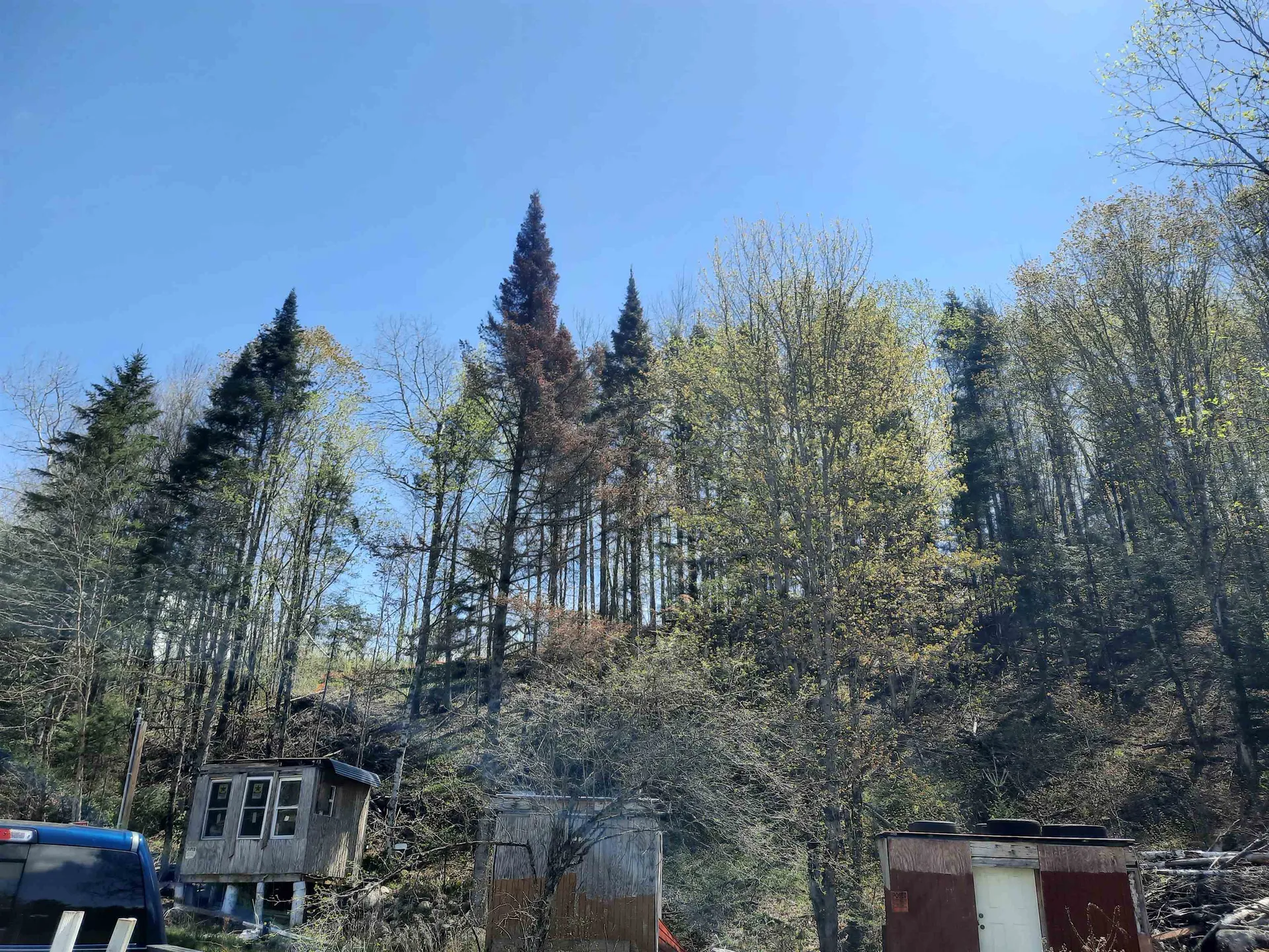 24 Marsh Road Columbia NH 03576