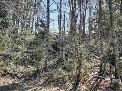 24 Marsh Road Columbia NH 03576