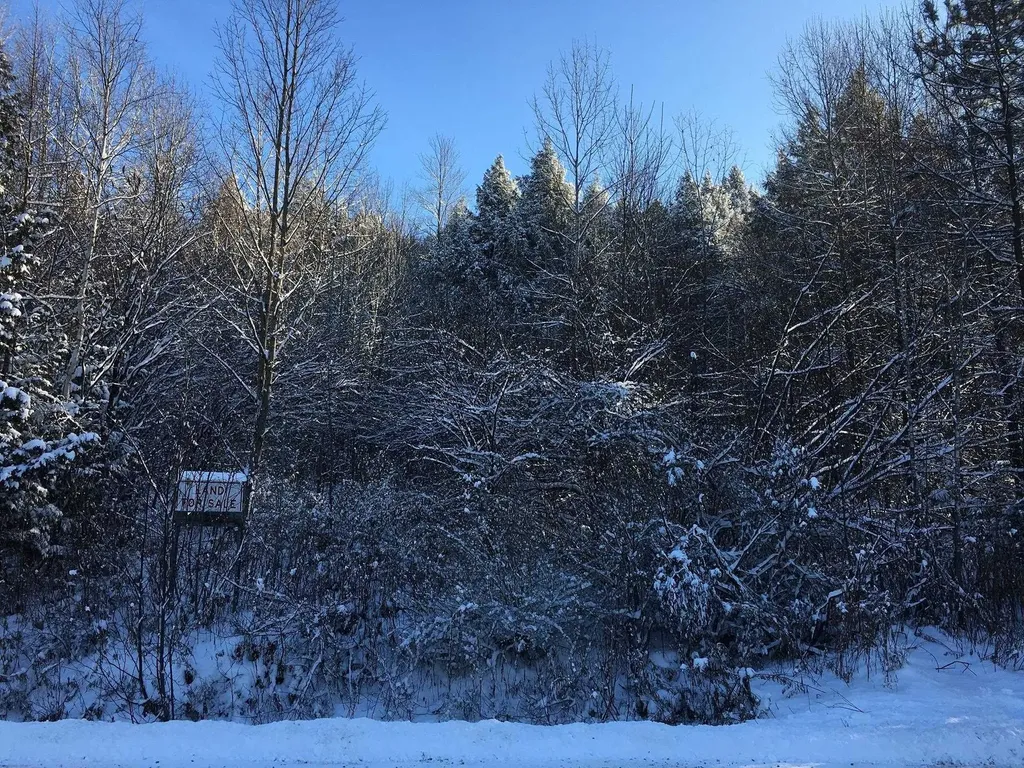 00 Paine Turnpike South Berlin VT 05602