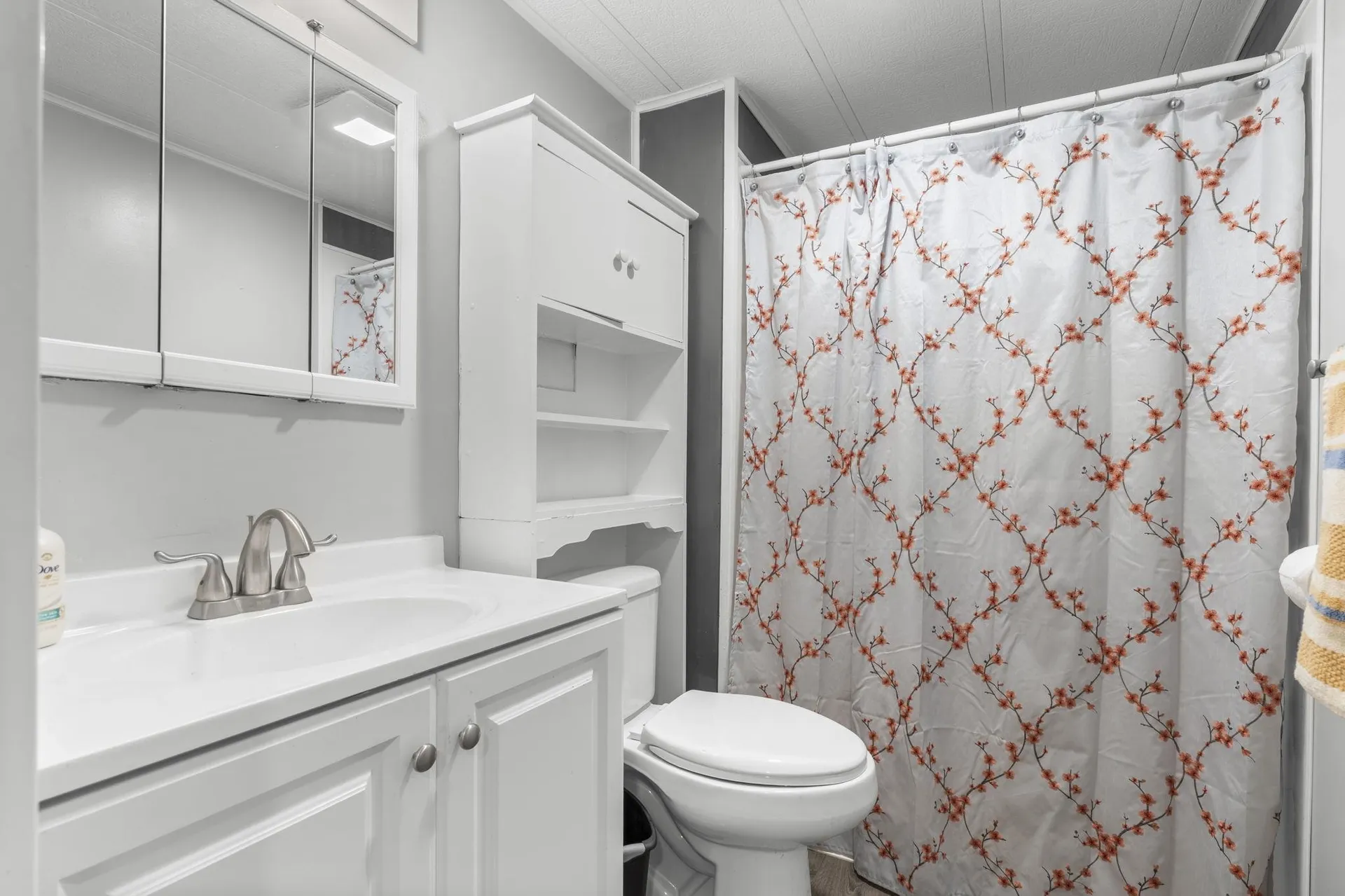 73 River Ledge Drive Goffstown NH 03045