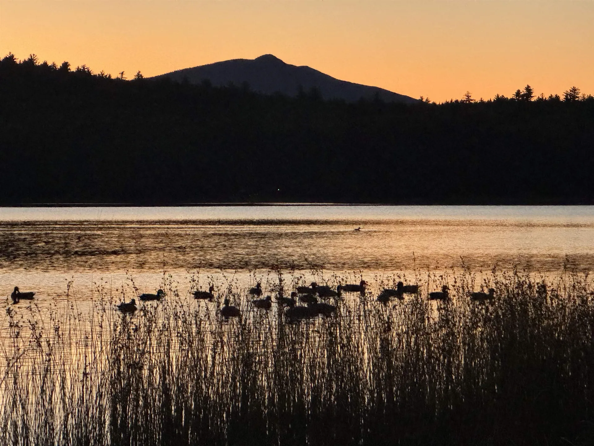 27 Island Drive Madison NH 03849