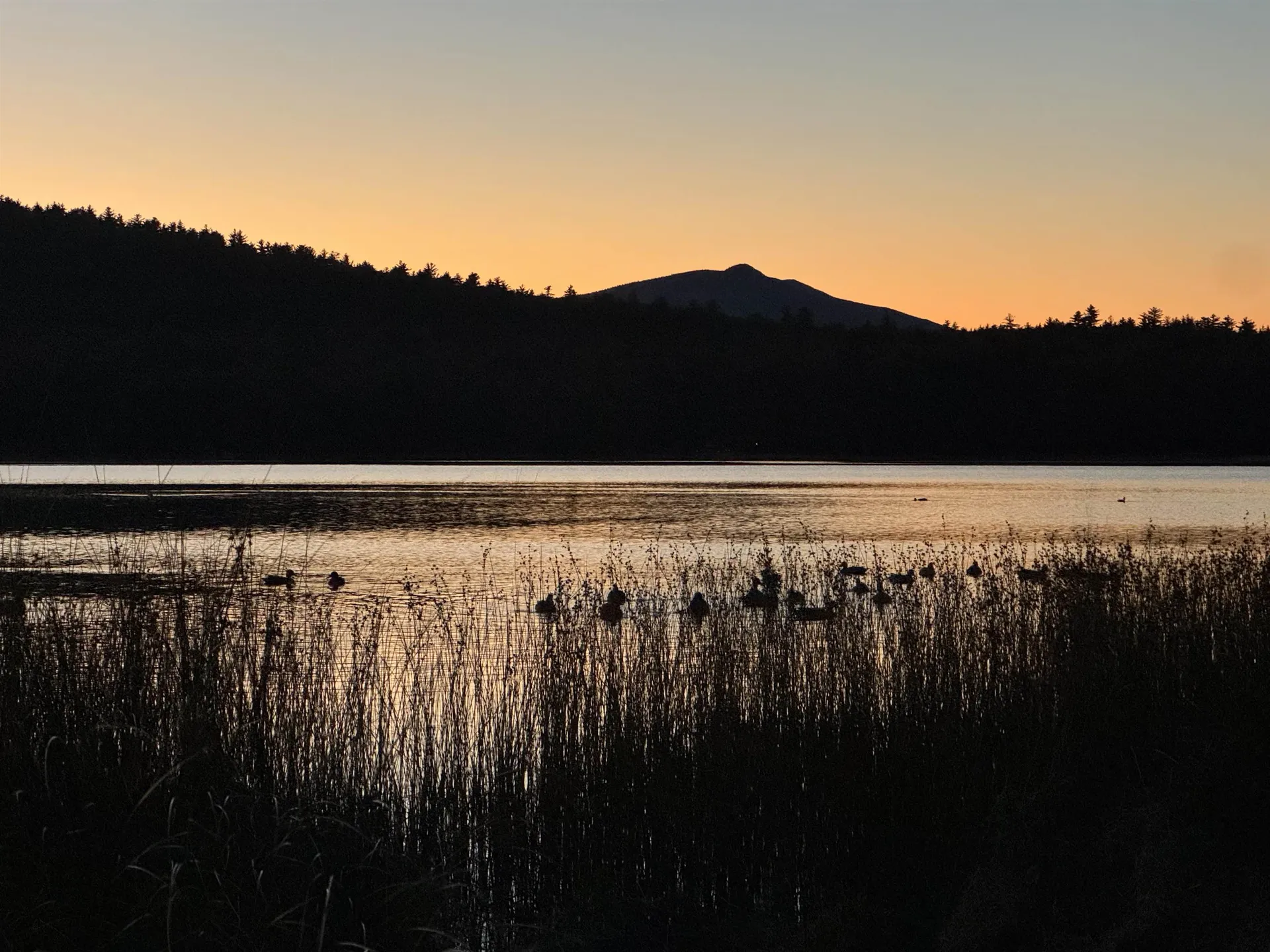 27 Island Drive Madison NH 03849