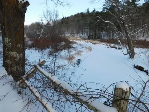 270 Village Road Corinth VT 05040