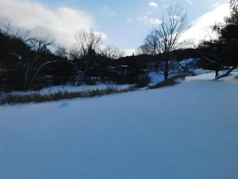 270 Village Road Corinth VT 05040