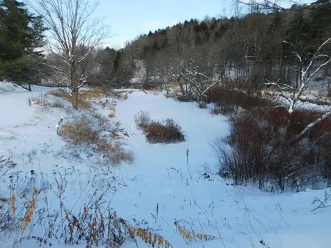 270 Village Road Corinth VT 05040