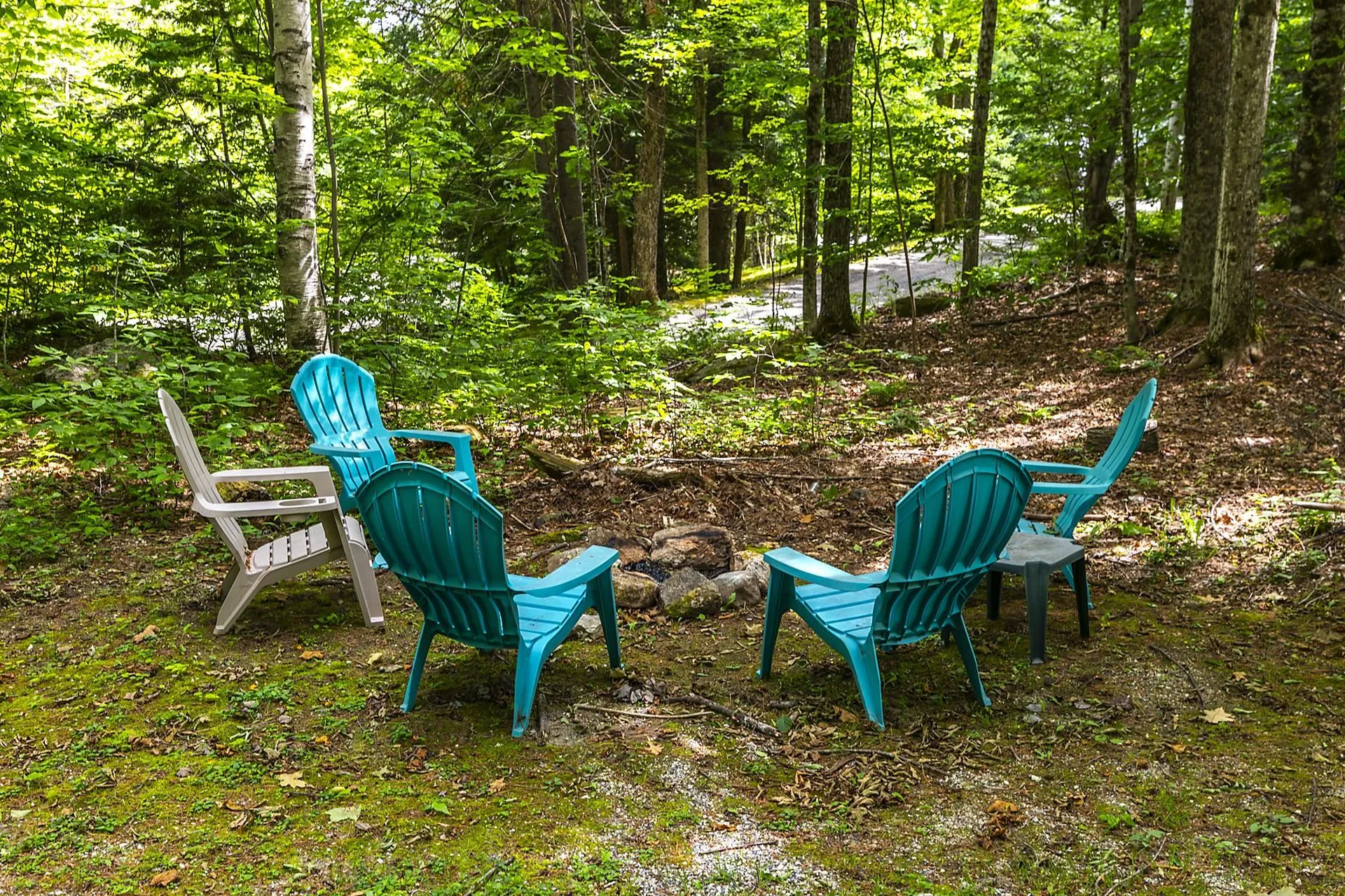 5 Linscott Road Winhall VT 05340