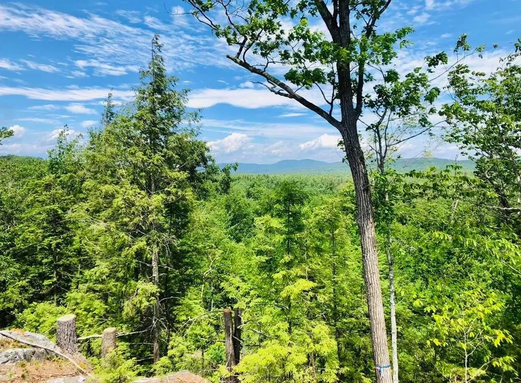 Village Corner Road Wolfeboro NH 03894