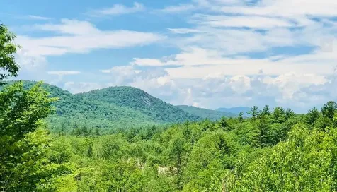 Village Corner Road Wolfeboro NH 03894