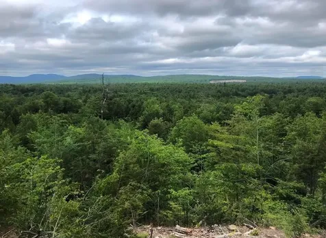 Village Corner Road Wolfeboro NH 03894