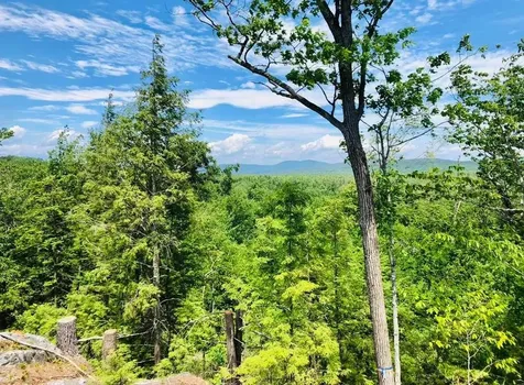 Village Corner Road Wolfeboro NH 03894