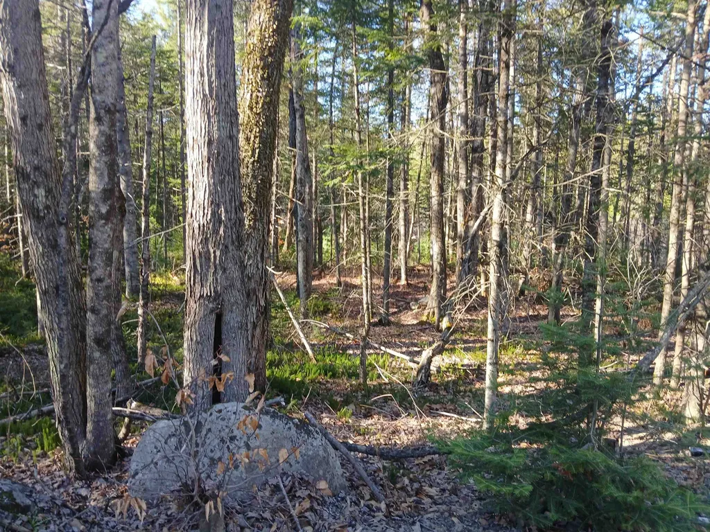 LOT#47-3 Grafton Pond Road Enfield NH 03748
