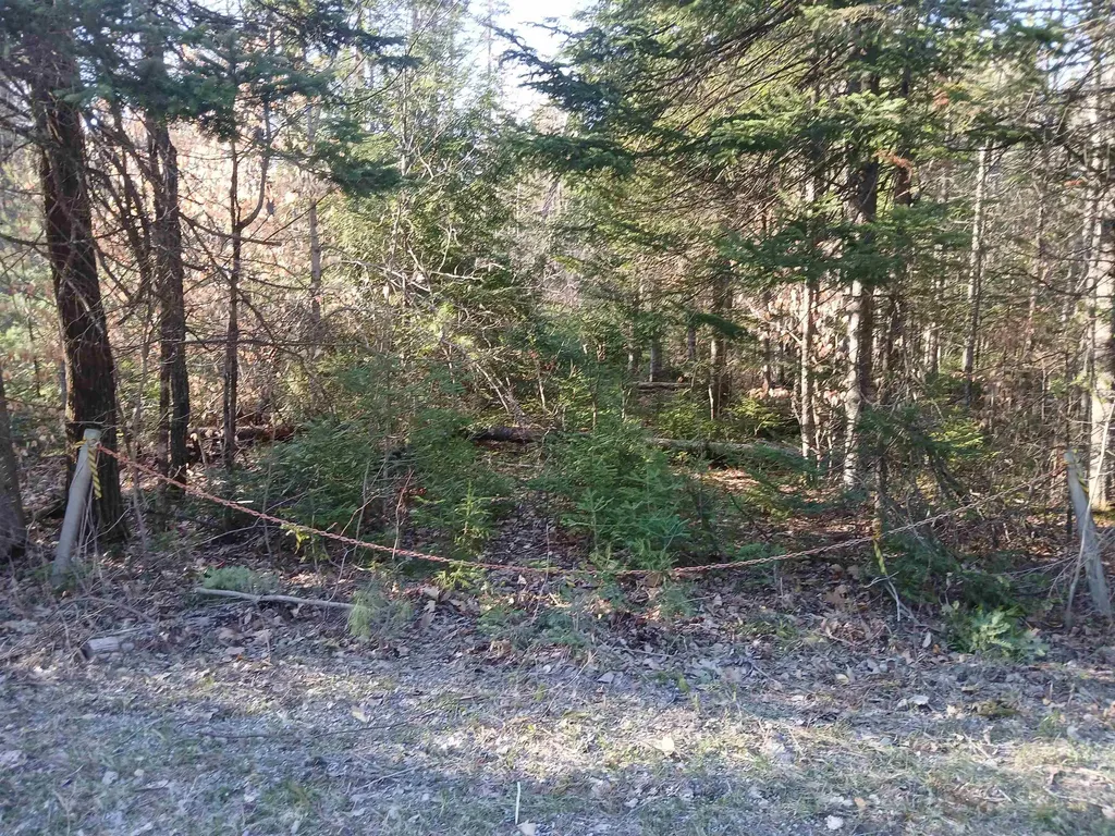 LOT#47-3 Grafton Pond Road Enfield NH 03748