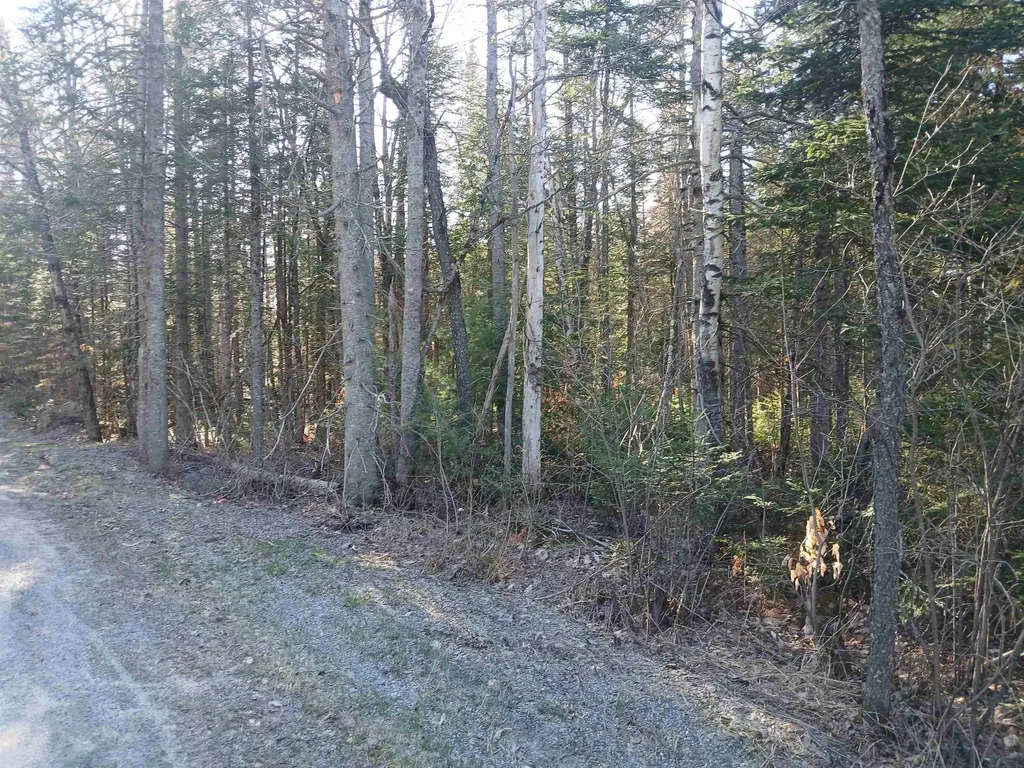 LOT#47-3 Grafton Pond Road Enfield NH 03748