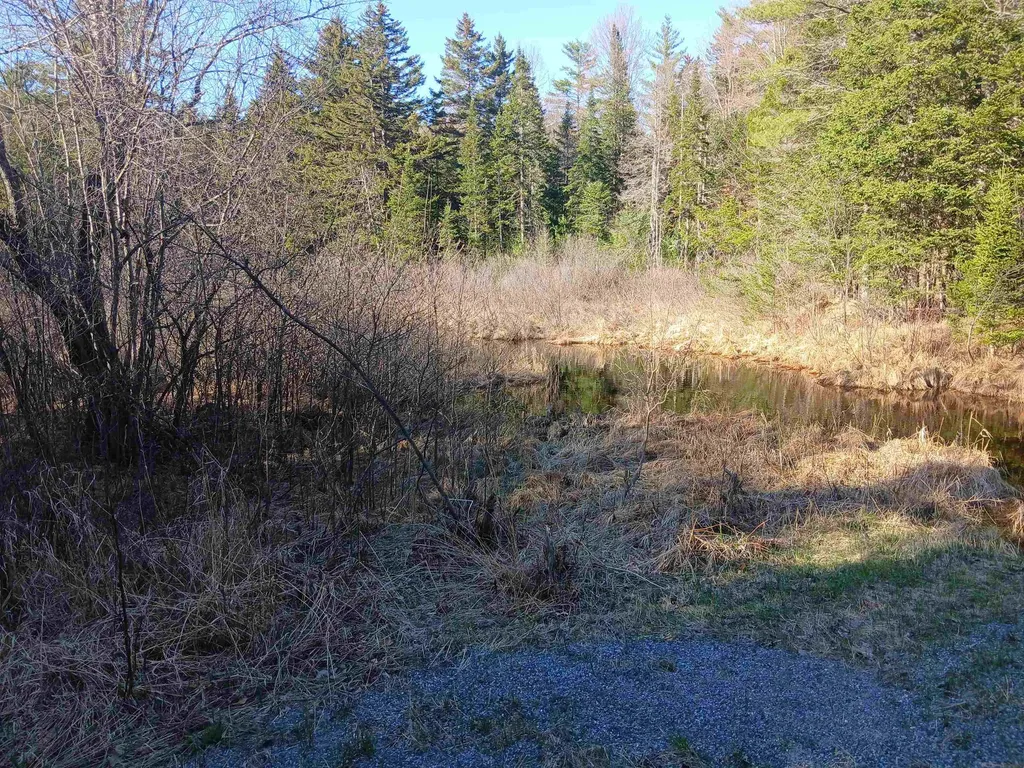 LOT#47-3 Grafton Pond Road Enfield NH 03748