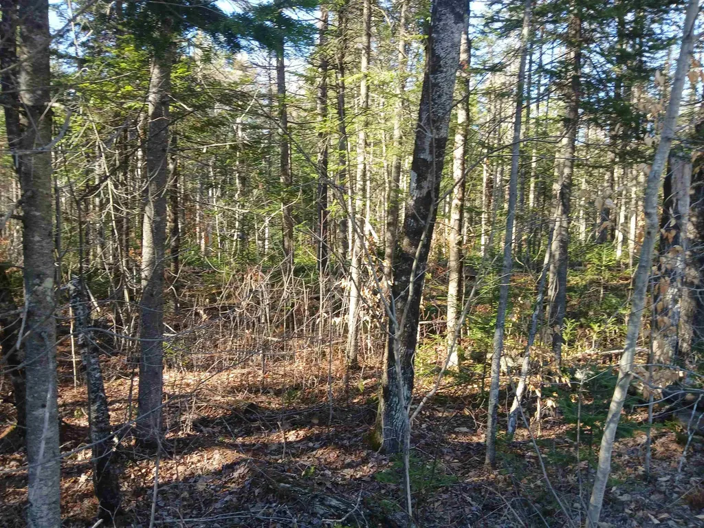 LOT#47-3 Grafton Pond Road Enfield NH 03748