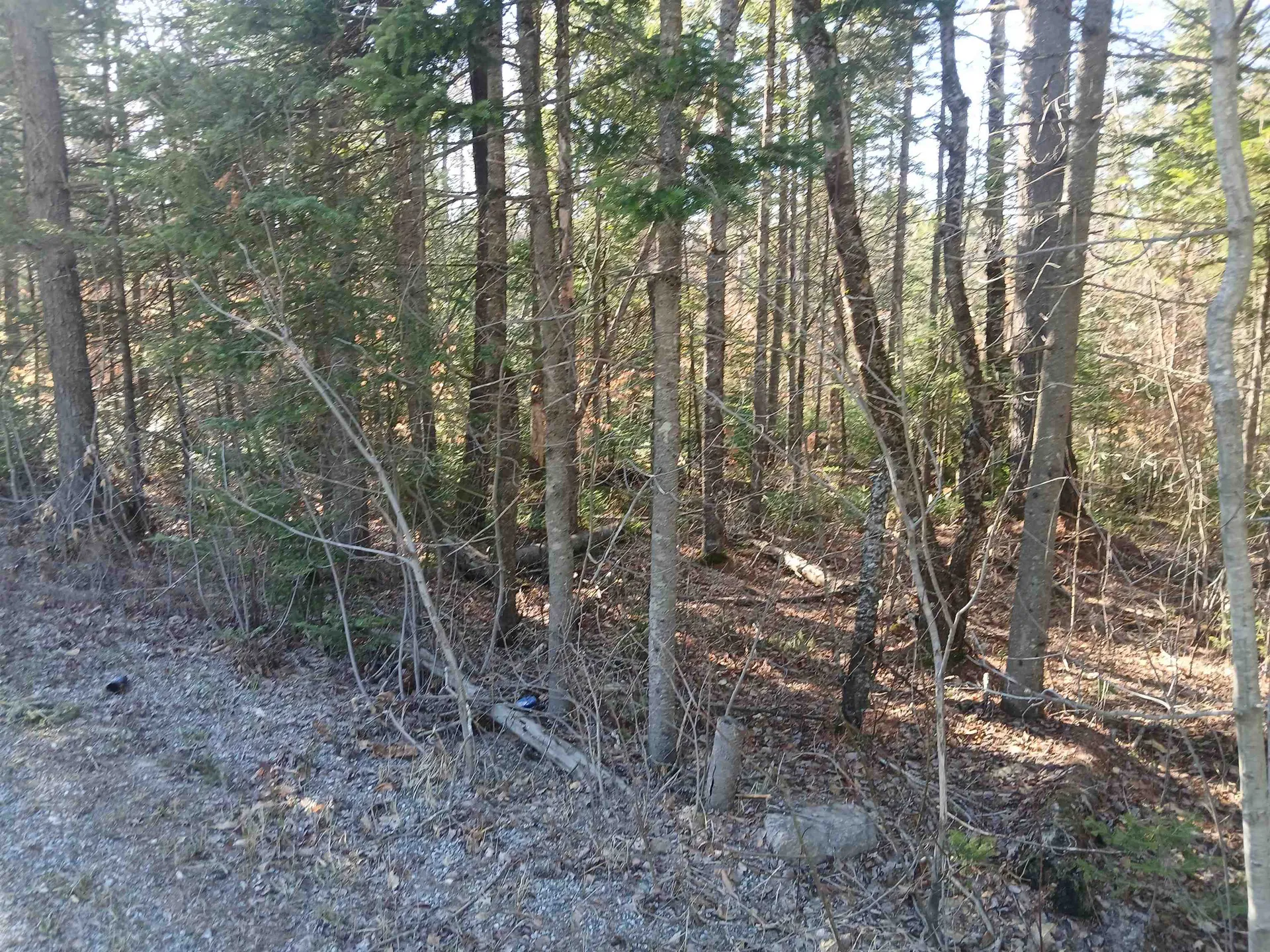 LOT#47-3 Grafton Pond Road Enfield NH 03748