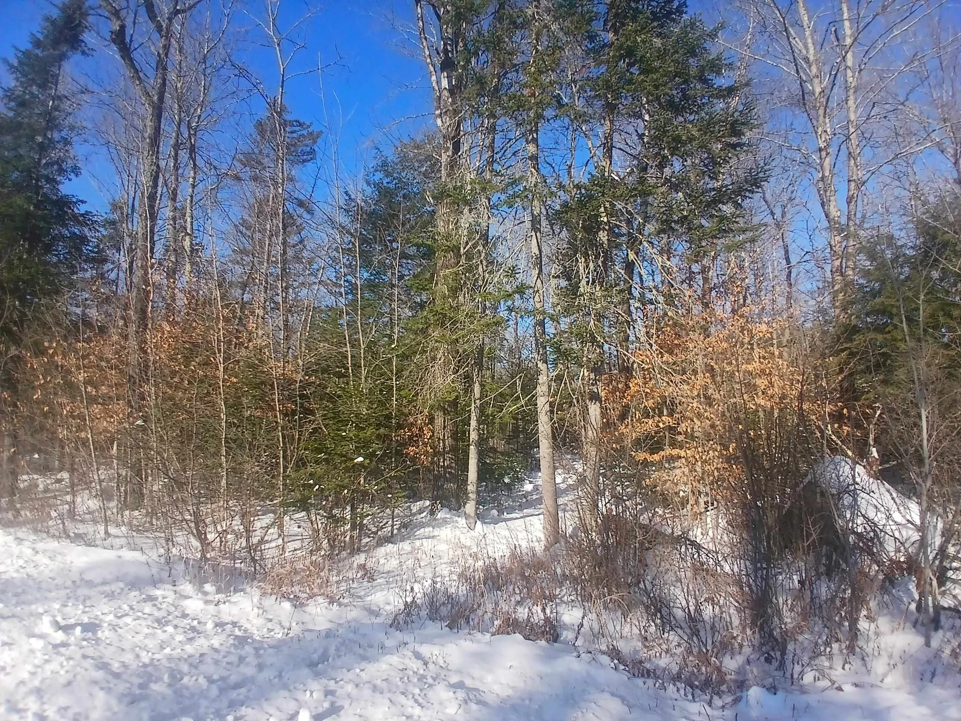 LOT#47-3 Grafton Pond Road Enfield NH 03748