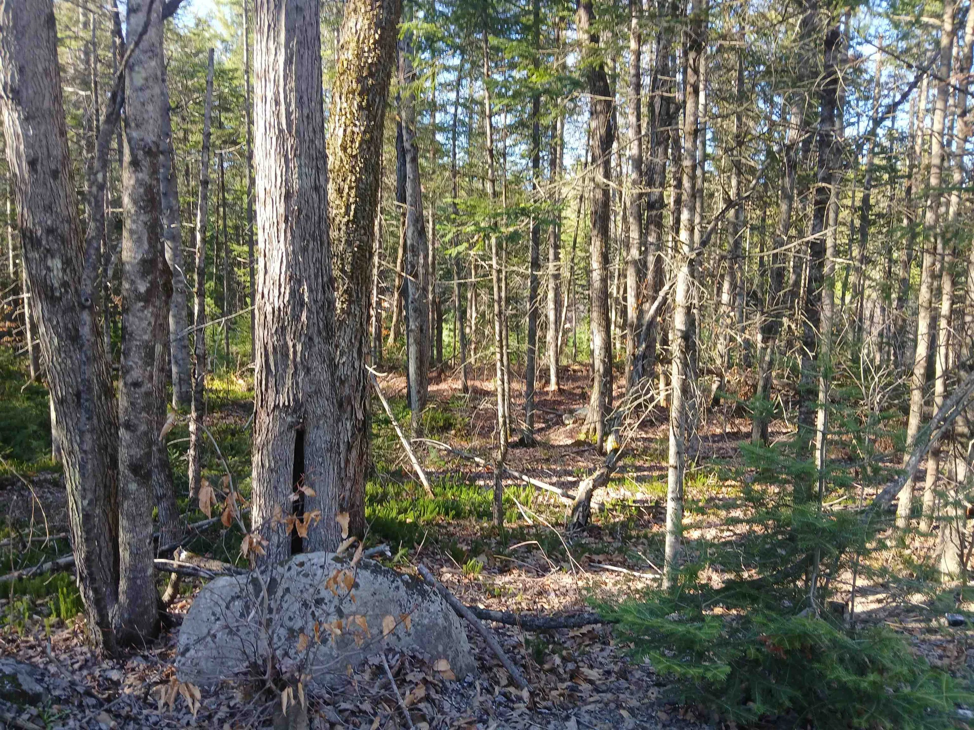 LOT#47-3 Grafton Pond Road Enfield NH 03748